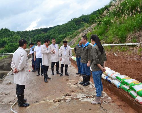 鄧義楨：6.21吳彩洪董事長到龍巖分公司視察防汛抗災工作3.jpg