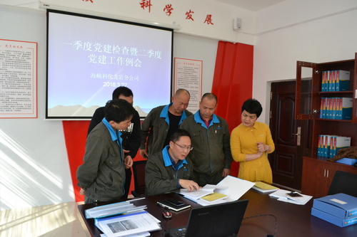 鄧義楨：龍巖分公司黨委書(shū)記熊林輝檢查各支部記錄.jpg