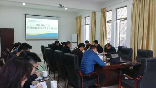鐘林琳：海峽科化公司總經理顏建議一行蒞臨龍巖分公司開展開展科技創(chuàng)新和技術進步專題調研2.jpg