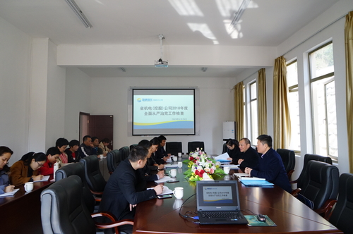 葉莉：省機(jī)電控股公司副總經(jīng)理吳大文到龍巖分公司檢查2018年度全面從嚴(yán)治黨工作.jpg