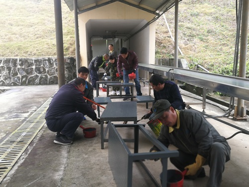 施武星：龍巖分公司乳化一車間支部組織黨員給車間鐵質(zhì)平臺、踏板刷漆.jpg