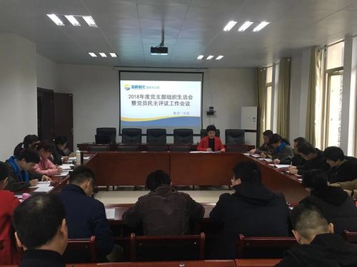 鐘林琳：龍巖分公司機(jī)關(guān)一支部召開2018年度黨支部組織生活會暨評議黨員會議.jpg
