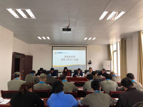 葉莉：龍巖分公司加強(qiáng)未巡先改工作的部署及落實(shí).jpg
