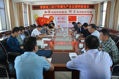 對海西東諾公司進行檢查指導.jpg