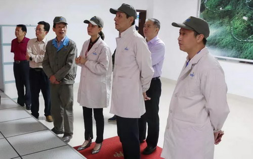 （采用）吳瑤：省工信廳裝備處尹斌處長等一行6人蒞臨龍巖分公司調(diào)研指導(dǎo)_調(diào)整大小.jpg