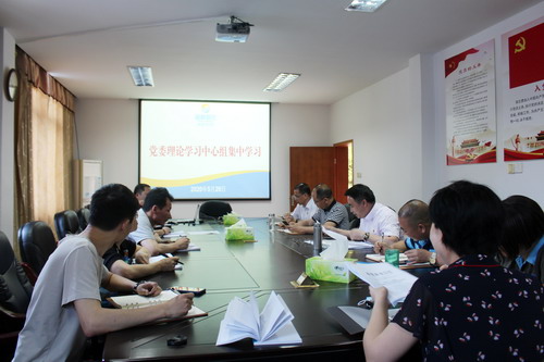 永安分公司黨委進行《中共中央國務(wù)院關(guān)于構(gòu)建更加完善的要素市場化配置體制機制的意見》學(xué)習(xí)_調(diào)整大小.jpg