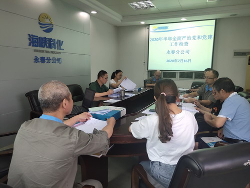 永春分公司開展半年全面從嚴(yán)治黨和黨建工作檢查_調(diào)整大小.jpg
