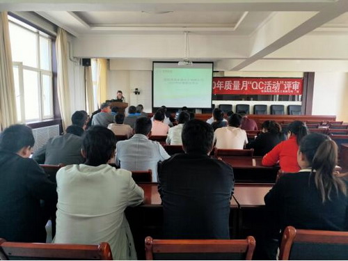 青海海西東諾化工有限公司舉行QC成果發(fā)布會現(xiàn)場_調(diào)整大小.jpg