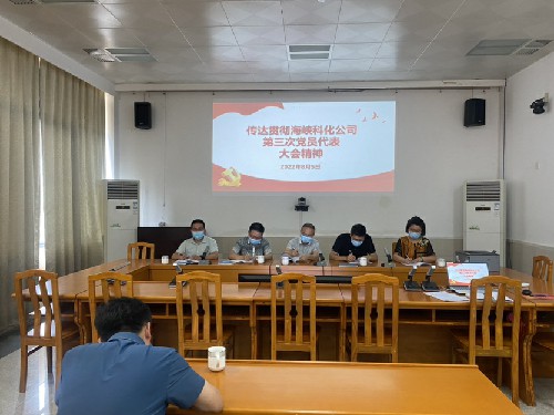 烽林連珂瑩：傳達貫徹海峽科化公司第三次黨員代表大會精神會議現(xiàn)場~1.jpg