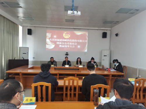 格式工廠烽林連珂瑩：海峽科化烽林分公司團(tuán)委換屆選舉大會(huì)勝利召開（會(huì)議現(xiàn)場）.jpg