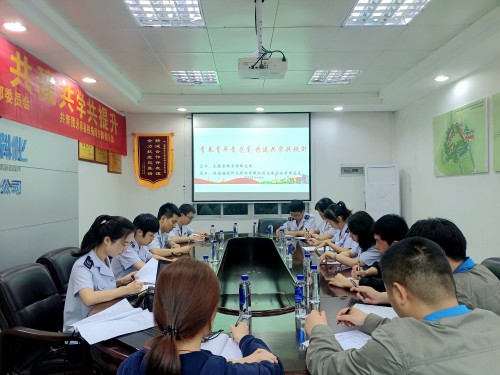 格式工廠稅企主題團日共建1.jpg